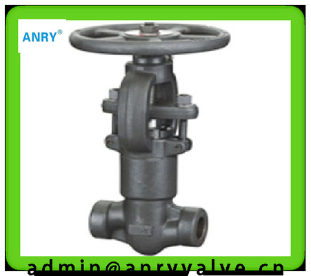 A105 13CR  800LBS Extended Stem Gate Valve  1/2"-12" Wedge SW BW NPT