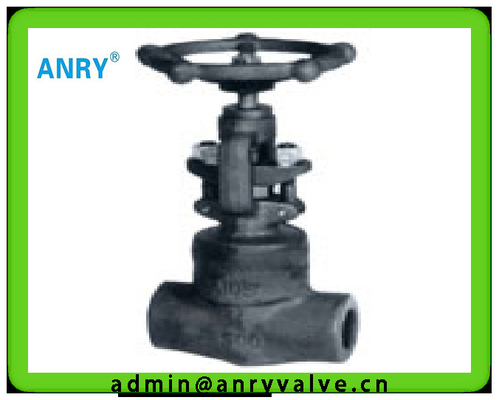 A105 13CR  800LBS Extended Stem Gate Valve  1/2"-12" Wedge SW BW NPT